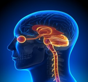 Neuro-Ophthalmology Services